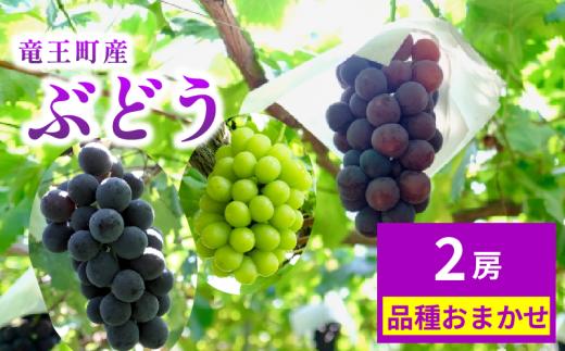 期間限定 ぶどう 2房 園主 おすすめ 詰め合わせ 葡萄 ブドウ マスカット 巨峰 シャインマスカット  デラウェア アーリースチューベン ベリーA サニールージュ ピオーネ シナノスマイル 安芸クイーン 甲斐美嶺 竜宝 高墨 数量限定 品種 おまかせ 数量限定 品種 夏 秋 フルーツ ふるーつ 果実 くだもの 竜王産 滋賀県 竜王町 送料無料 ふるさと納税