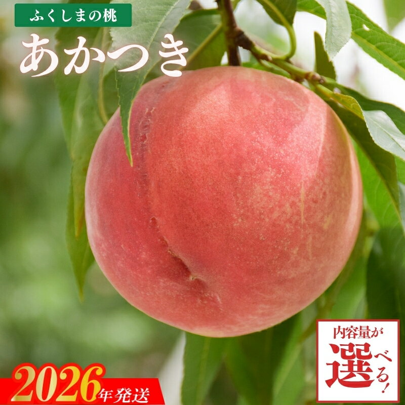 【ふるさと納税】もも「あかつき」約2kg 約3kg【2026年発送 先行予約】