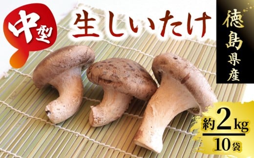 きのこ しいたけ 2kg 程度 中型 10袋 キノコ 椎茸 ステーキ 生しいたけ 生 シイタケ だし ダシ 焼きしいたけ 肉詰め 鍋 味噌汁 スープ 野菜 新鮮 旬 食べ応え 厚い 肉厚 うまみ セット 菌床しいたけ 大西農園 徳島県 三好市
