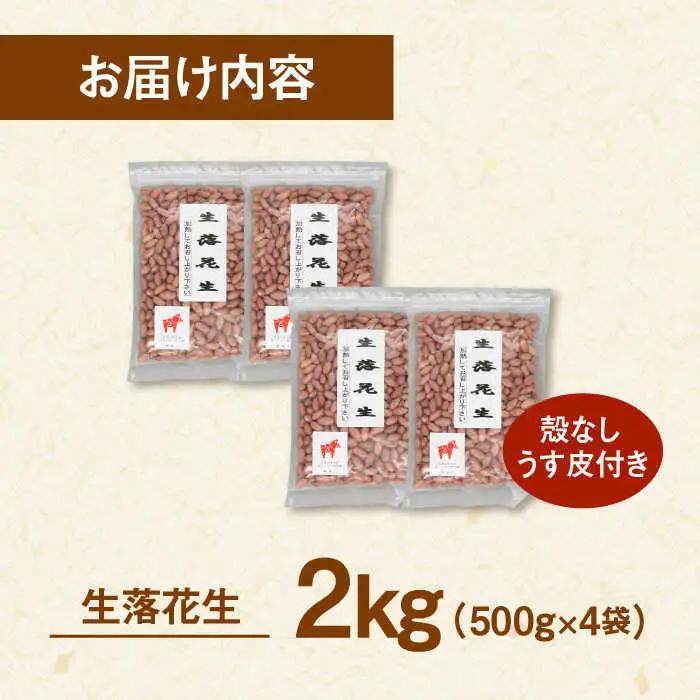 生 落花生（ピーナッツ） 500g×4袋 [ADAM014] 生ピーナッツ 落花生 人気