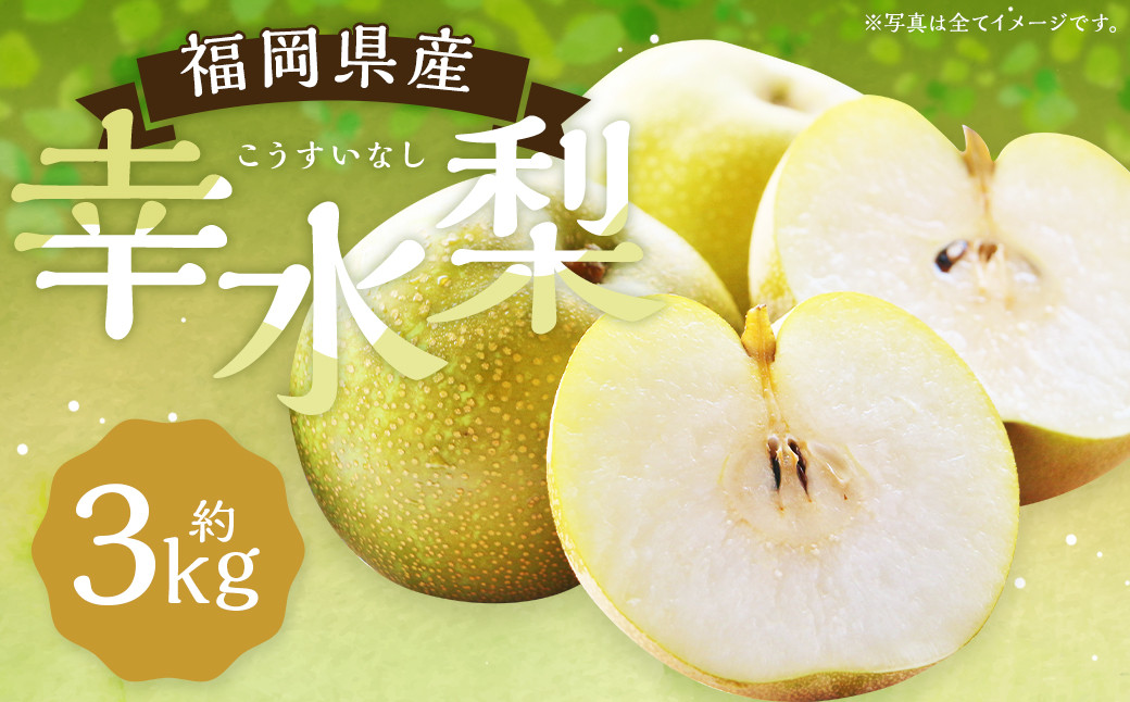 
                  幸水梨 約3kg 5～8玉【2026年7月下旬から8月下旬発送予定】 ナシ 梨 果物 フルーツ 福岡県産
                