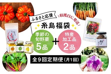 【全9回定期便】 朝採り季節のオーガニック旬野菜お任せ5品＋糸島産の大ヒット特産加工品2品（ジャム、ドレッシング、醤油、天然塩、乾物、佃煮、お漬物、etc…）の7品セット 《糸島》[AGE031] 福