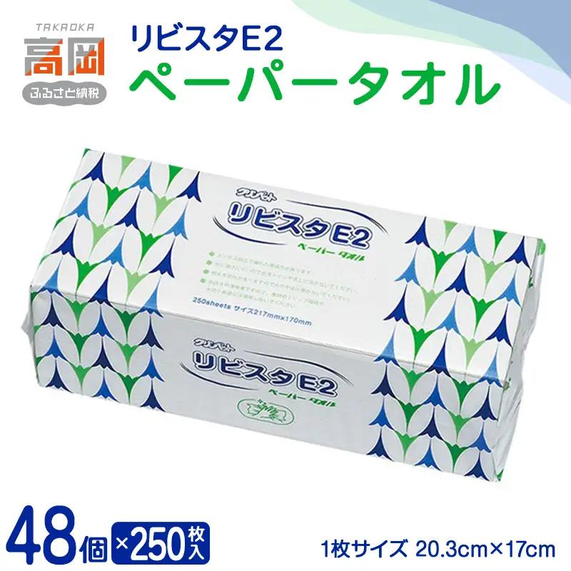 リビスタEペーパータオル250枚×48個 ペーパータオル 防災グッズ ティッシュ キッチンペーパー タオル FAD-1768