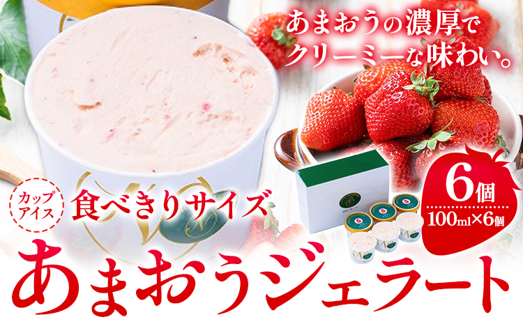 あまおうジェラート 100ml×6個 南国フルーツ株式会社《30日以内に出荷予定(土日祝除く)》福岡県 鞍手町 あまおう いちご ジェラート 果物 送料無料---skr_fnngkzt_30d_r7_16500_6i---