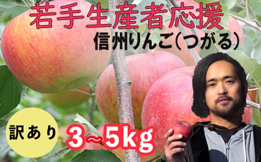 
                  若手生産者応援 りんご （サンつがる） 訳あり 3-5㎏ 数量限定 先行予約 伊藤快 果物 フルーツ 家庭用  産地直送 麻日屋 麻績 おみ 自宅用  8月 下旬 9月 上旬 2026年収穫分 先行予約 予約
                