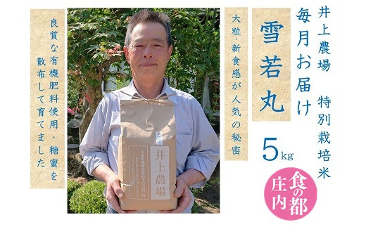 
                  食の都庄内　【定期便12回】井上農場の特別栽培米雪若丸5kg×12回
                