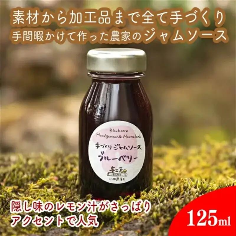 手づくりジャムソース 8本セット 手作りみかん キウイ あまなつ ブルーベリー 125ml 詰め合わせ ギフト 【 家庭用 自宅用 贈答品 贈答用 ギフト お取り寄せ お中元 お歳暮 贈り物 お祝い 