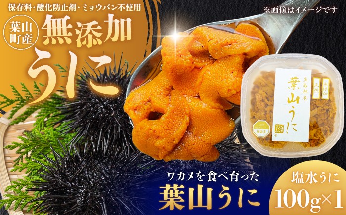 
                  葉山うに 塩水うに100g 冷蔵 生うに 保存料無添加 ミョウバン不使用 酸化防止剤不使用 ウニ 雲丹 ご飯 丼 海鮮丼 ウニ丼 塩水ウニ 贈り物 ギフト おつまみ 神奈川県 葉山町【くぼたマリンファーム】 [ASCP002]
                