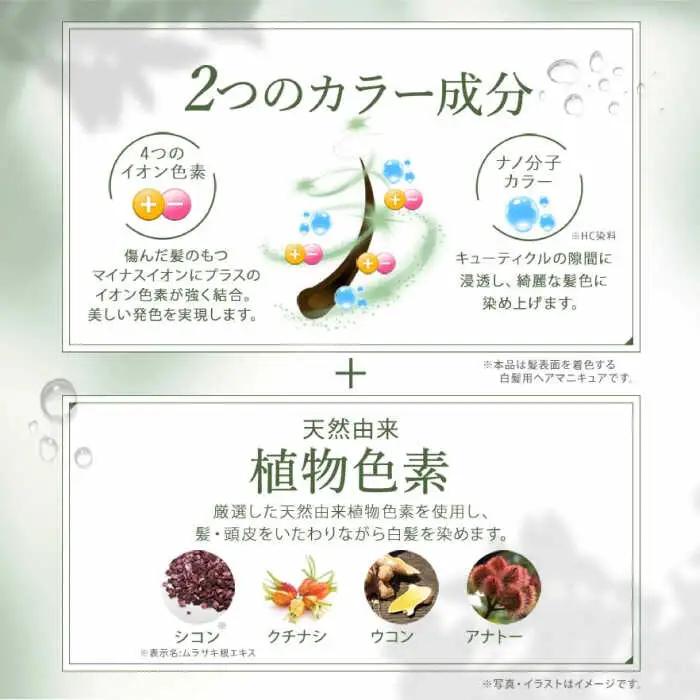 【 10本入 】【選べるカラー】 利尻 カラー シャンプー 糸島 / 株式会社ピュール 白髪ケア 美容  [AZA028]