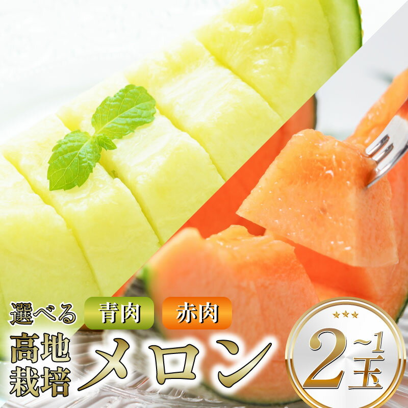 【ふるさと納税】 メロン 先行予約 1玉 2玉 選べる品種 赤肉 青肉 化粧箱 徳島県産 フルーツ 果物 旬 季節 厳選 高級 人気 デザート ギフト プレゼント 贈答 送料無料 レノンウェーブ タカミ ナポリ 赤肉メロン 青肉メロン 徳島県 三好市 みよし 三好野呂内野菜生産加工組合