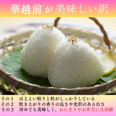 ふるさと納税 小浜市 令和7年産新米　福井県産ハナエチゼン白米　10kg |  | 01