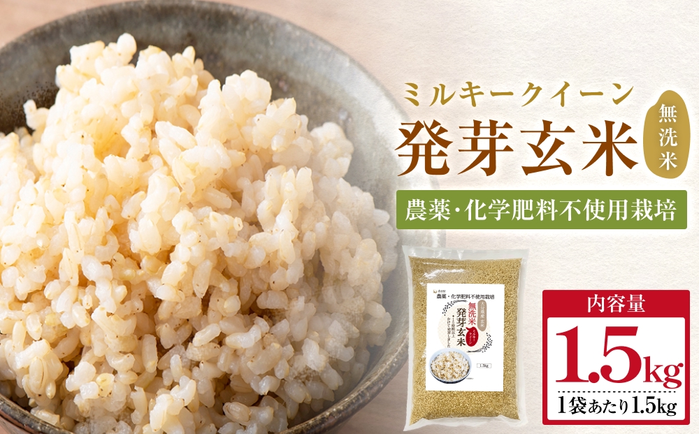 栽培期間中農薬・化学肥料不使用 発芽玄米 (大分県産ミルキークイーン) 1.5kg×1袋 無洗米 令和7年度産