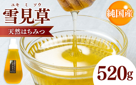 純国産 雪見草 はちみつ 520g｜非加熱 純粋 天然 蜂蜜 単花蜜 ゆきみそう ハチミツ ギフト｜千葉県 君津市