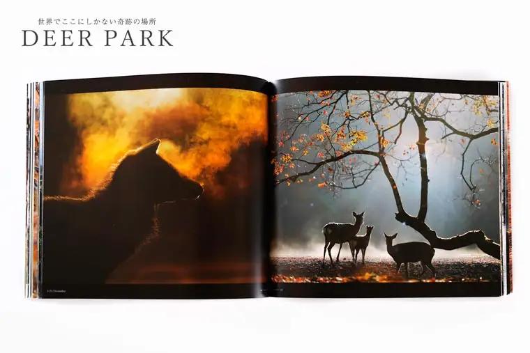 奈良の鹿 写真集「DEER PARK 世界でここにしかない奇跡の場所」奈良公園 サイン入り KAZUTO PHOTO OFFICE 佐藤和斗 I-193
