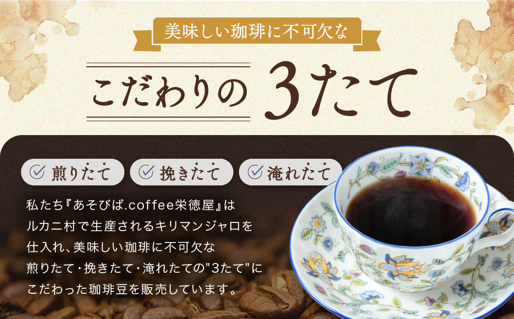 【手網焙煎】久々野ふるさとの香り キリマンジャロ ルカニ村 100g | 焙煎 珈琲 コーヒー ルカニ村 キリマンジャロ あそびば.coffee 栄徳屋 LC012