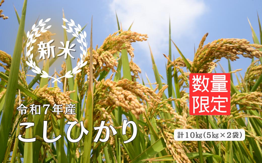 
            150250【令和7年産】しまね川本 こしひかり 10kg(5kg×2)
          