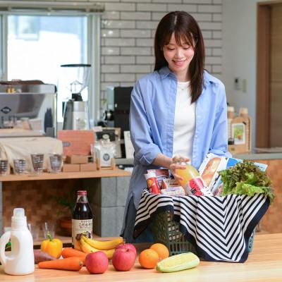 ふるさと納税 桐生市 撥水風呂敷『ながれ』マリンボーダー(平織96cmサイズ) |  | 03