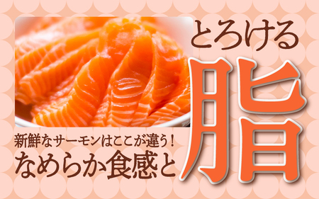 【最速発送】 アトランティックサーモン 450g / サーモン