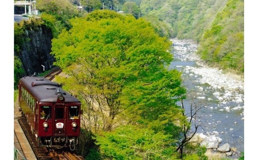 渡良瀬川の渓谷に沿って走る「わたらせ渓谷鐵道」の車窓からは、四季折々の自然が満喫できます。