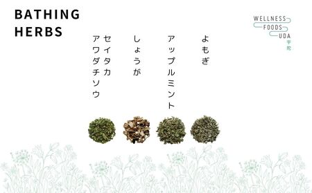 ミックス ハーブ 入浴剤 1箱(5包入)×2個／ ウェルネスフーズ UDA 大和当帰 薬草 リラックス ストレス解消 ボディケア 肌荒れ改善 疲労回復 大和当帰 ゆず レモングラス どくだみ 紫蘇 よ