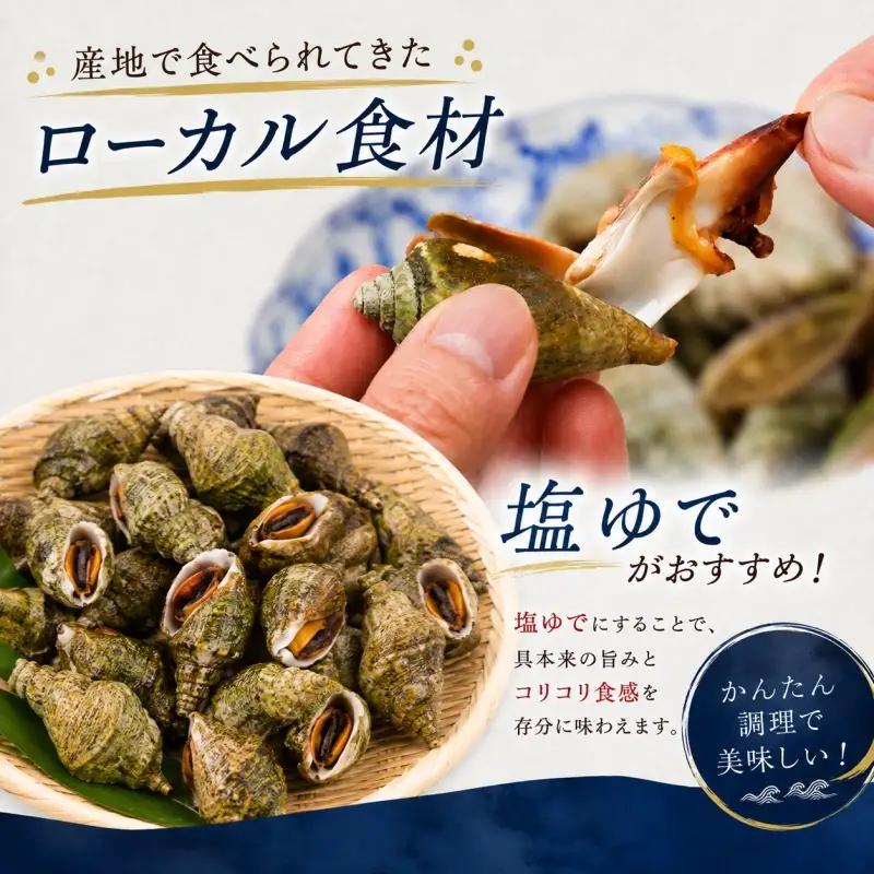 【素潜り漁師直送】マガキ貝 (チャンバラ貝) 1kg 獲りたてをお届けします！※離島配送不可【skmn210-mgk-1】
