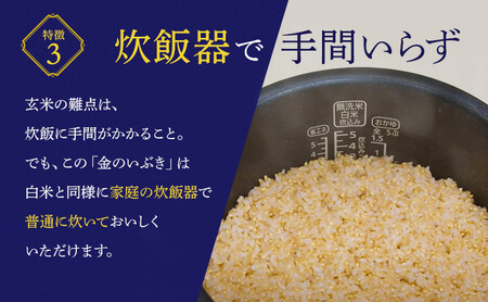 お米 玄米 金のいぶき 玄米 5kg | 米 お米 こめ 玄米 ブランド米 ブランド玄米 玄米食 人気 食物繊維 涌谷町産玄米 ※2024年11月上旬頃より順次発送予定  【aubless015】 
