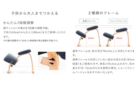 バランス イージー(カバー付き) 通常ベージュ+カバーブラウン 