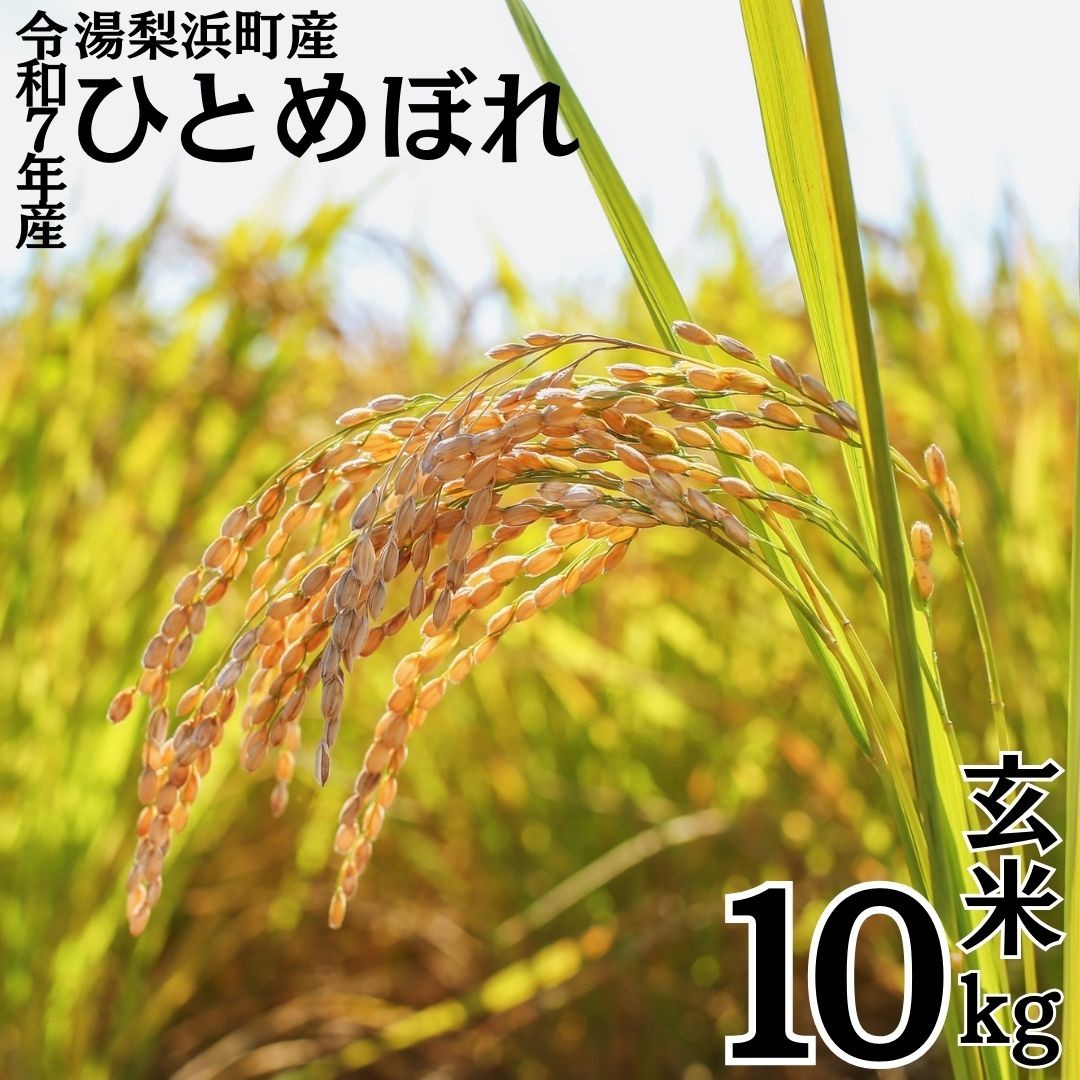 
            347K.湯梨浜町産◇ひとめぼれ◇玄米10kg◇令和7年産
          