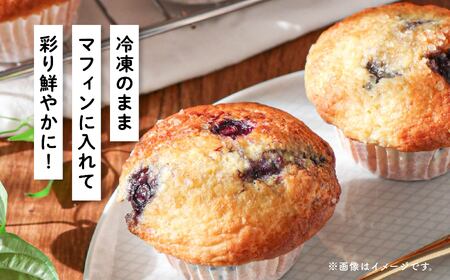 冷凍ブルーベリー300g×4袋
