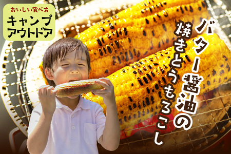 【先行予約】 生食も！高糖度！もぎたて！ フルーツトウモロコシ「イエローコーン」（2025年6月下旬～発送）