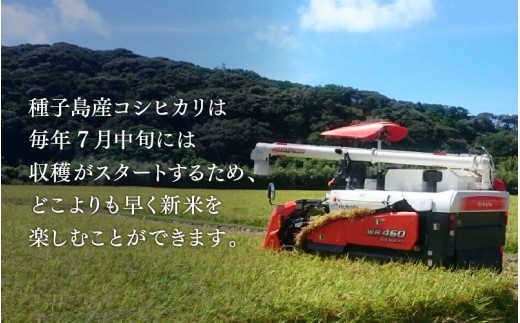 《令和8年産米 新米》種子島産コシヒカリ 5kg 無洗米 お米 こめ コメ 精米 白米 コシヒカリ こしひかり 食品 グルメ お取り寄せ おすそわけ 人気 おすすめ ギフト 南種子町 鹿児島 かごしま