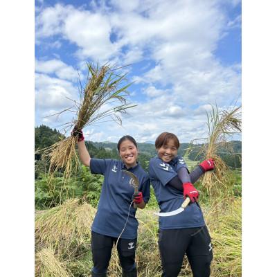 ふるさと納税 十日町市 「まつだい棚田バンク」 標準コース (150平方メートル) |  | 01