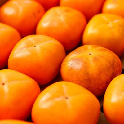 ふるさと納税 庄内町 【R8.10月下旬より順次発送】庄内柿 家庭用【訳あり 少々傷あり】 M〜Lサイズ 7.5kg |  | 02