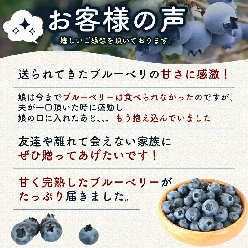 【先行予約】【全2回定期便】完熟生ブルーベリー （サザンハイブッシュ系）各600g（100ｇ×6パック） | フルーツ 果物 ベリー