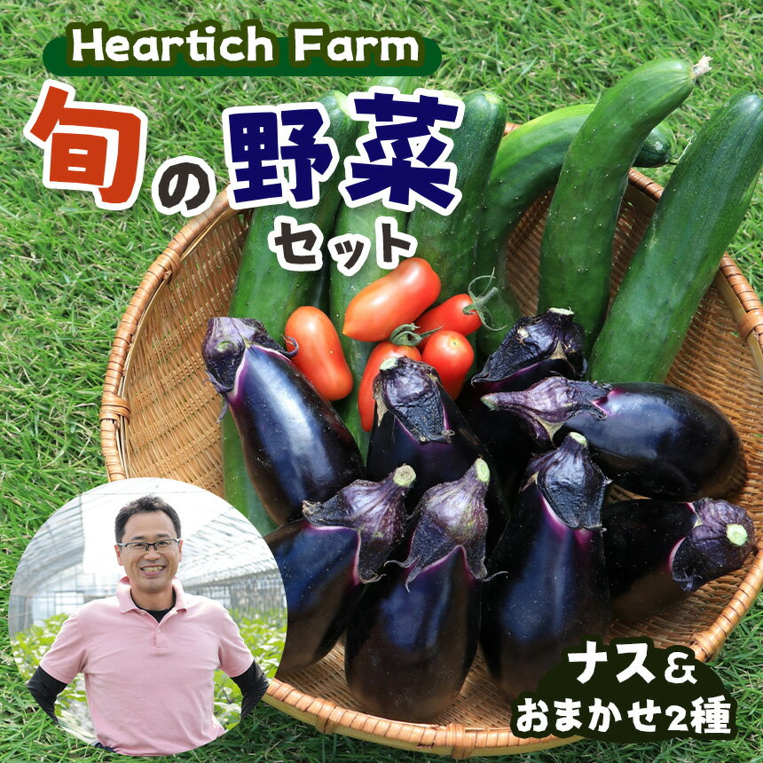 【ふるさと納税】Heartich Farm 旬の野菜セット (ナス＆おまかせ2種) ｜ 野菜 ナス 茄子 セット 特産品 栃木県 真岡市 送料無料 なす なすび