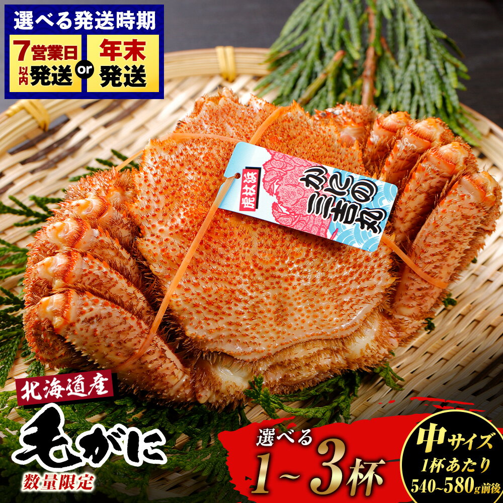 【ふるさと納税】【中サイズ】北海道産 冷凍ボイル毛ガニ 選べる1尾〜3尾 (1尾540g-580g前後) 選べる発送月 蟹 かに カニ 毛ガニ AS183毛がに 毛ガニ 毛蟹 蟹 カニ 北海道ふるさと納税 白老 ふるさと納税 北海道 年末