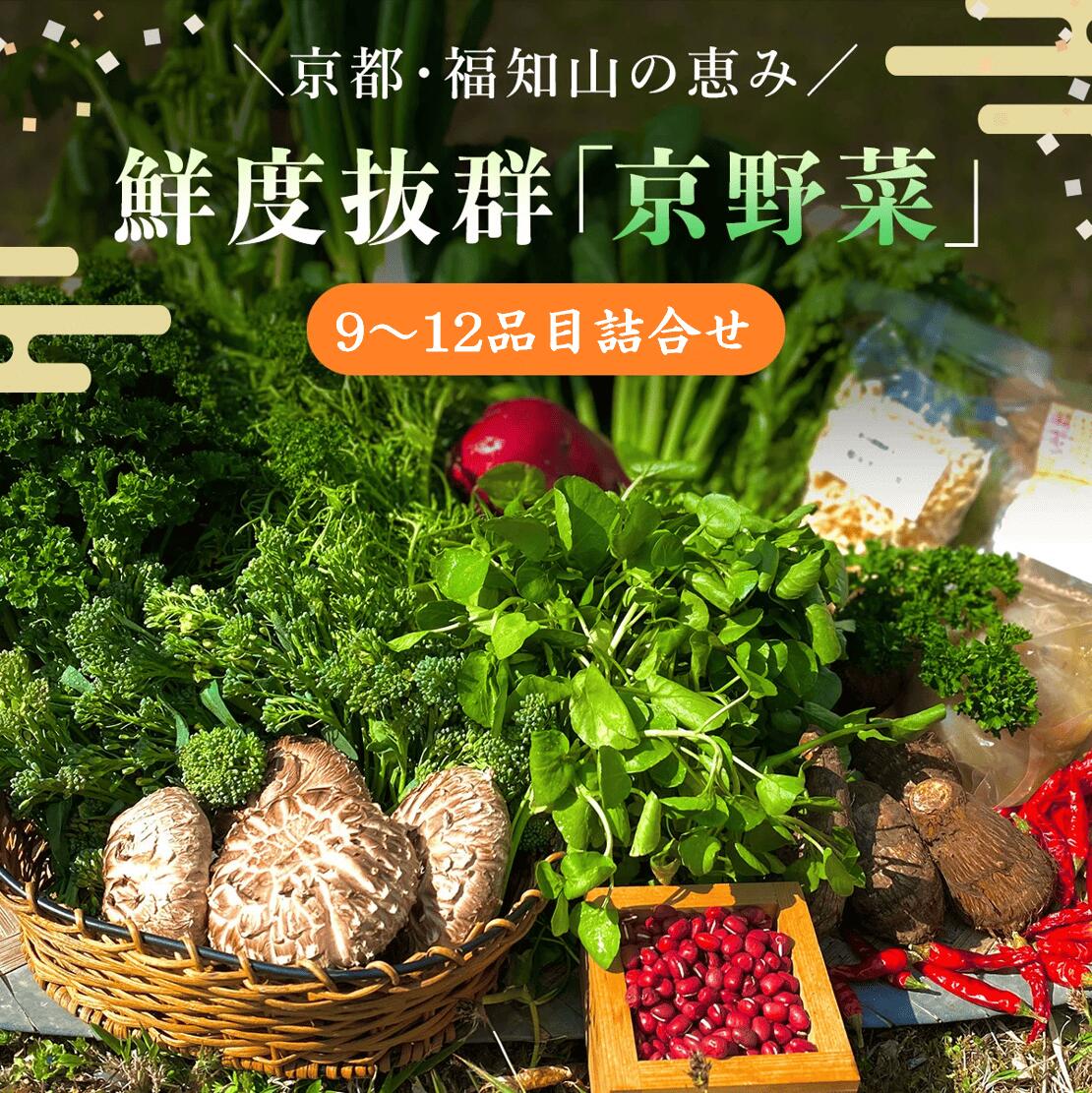 【ふるさと納税】 京野菜9～12品目詰合せ ふるさと納税 京野菜 野菜 京都府 福知山市 FCCM003