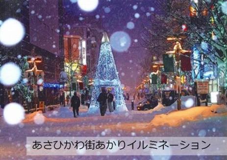 北海道旭川市ＡＮＡトラベラーズダイナミックパッケージ割引クーポン3,000点分