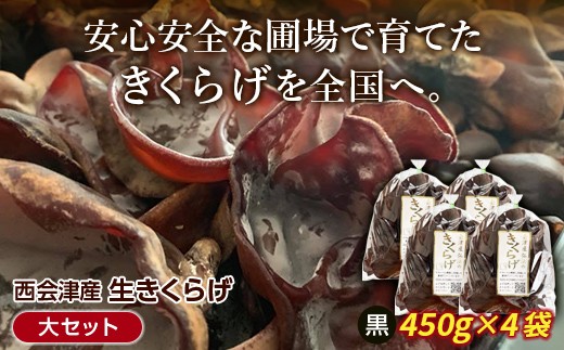 
                  《期間限定》西会津産 生きくらげ 大セット (黒250g×5袋) 完全無農薬 生 きくらげ 木耳 キクラゲ 国産 おつまみ 食品 F4D-2263
                