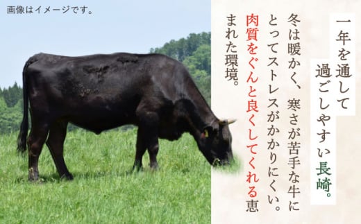 【数量限定】【川棚町で育った】長崎和牛 焼肉・鉄板焼用 スライス 約500g【川下精肉店】 [OAA014] / 牛肉 冷凍 鉄板焼 長崎県産 和牛 国産牛 焼肉 BBQ にく 肉 すらいす やきにく