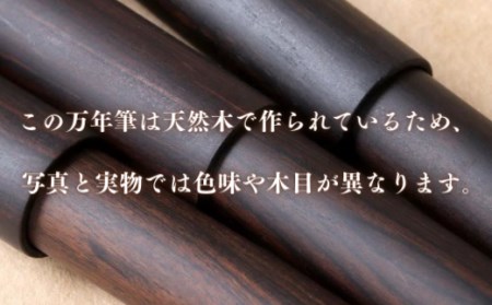 H2-01 銘木・「世界樹」万年筆（黒檀）細字