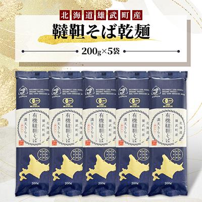 ふるさと納税 雄武町 雄武産韃靼そば乾麺 【S0704】