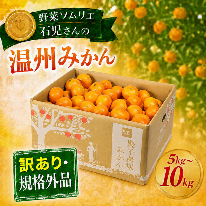 【ふるさと納税】 【訳あり・規格外品】温州みかん 5kg〜10kg 野菜ソムリエ石児さん ／ ミカン 柑橘 5kg 10kg 柑橘類 期間限定 数量限定 サイズ不揃い 傷 先行予約 11月 12月 1月 11月発送 12月発送 1月発送 ＜103-702＞