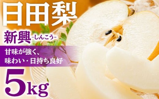 【先行予約・26年10月以降発送】日田梨 新興 5kg 日田市 / 日田梨協同組合　梨  なし 新興  しんこう 和梨 果物 くだもの[ARBB005]