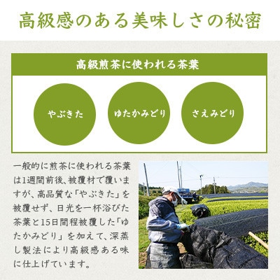 【お歳暮・のし付き】お茶の“厚石園”『高級深蒸し茶セット』 ギフト A3-97S【1461800】
