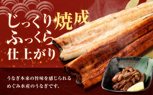【7月13日までの入金確認で土用の丑の日までにお届け】めぐみうなぎ 堪能うなぎづくし セット 【 蒲焼 × 4 ／ 白焼き × 2 ／ 肝 × 2 】 うなぎ 鰻 ウナギ 魚類 うな重 うな丼 晩ごは