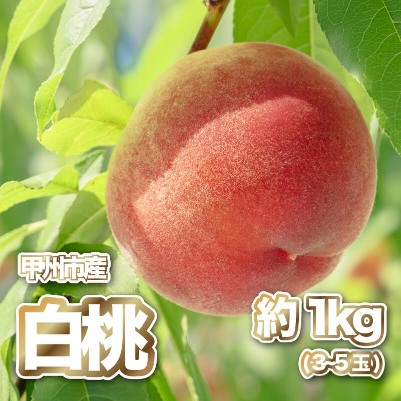 【ふるさと納税】 桃 2026年 先行予約 約1kg 3～5玉 果物 白桃 産直 産地直送 フルーツ もも モモ 果実 厳選 数量限定 期間限定 7月 8月 発送 ギフト 贈答 家庭用 甲州市 山梨県 （PJ） 【B-166】