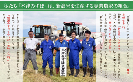新潟産コシヒカリ精米10kg真空パック（5kg×2袋） 米 コメ こめ お米 おこめ 白米 精米 コシヒカリ こしひかり 10kg ご飯 ごはん 新潟 