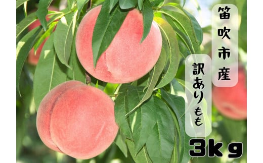 【2026年発送★先行予約】笛吹市産訳あり桃 約3kg 167-026-26y  ※東北、関東、信越、中部のみ発送