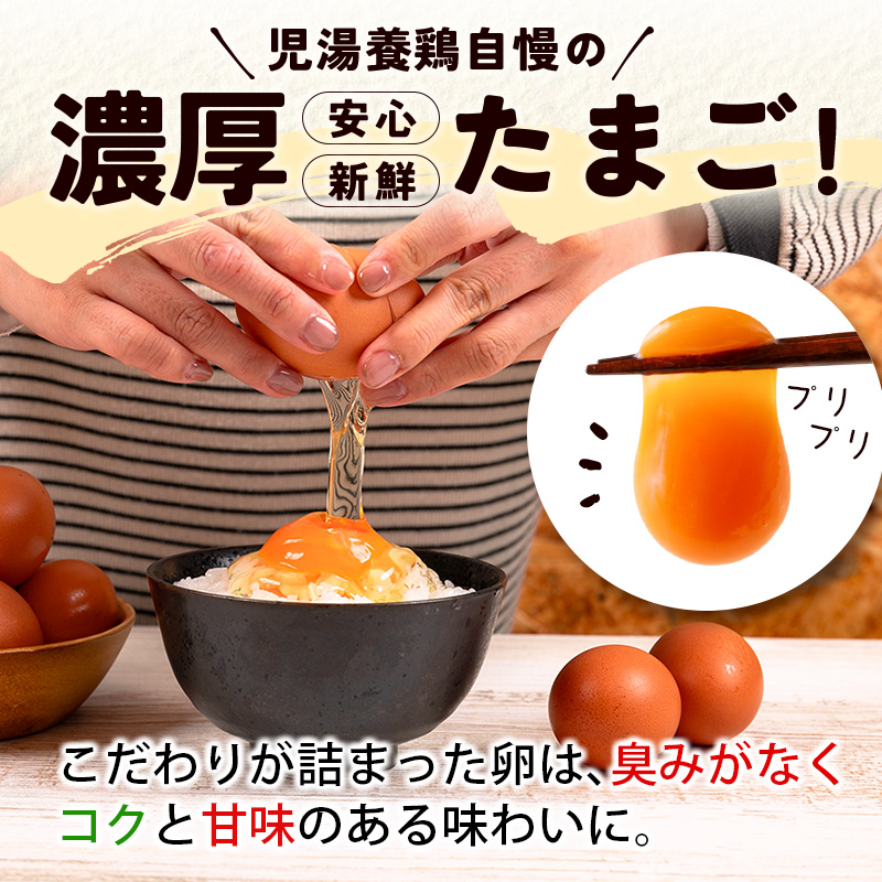 新鮮 たまご 定期便 児湯の赤卵30個×12か月定期便 濃厚 冷蔵 小分け 3パック 数量限定 期間限定 国産 おすすめ 人気 生活応援【E253-09】